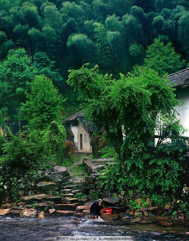 探索知识星球平台,尽享